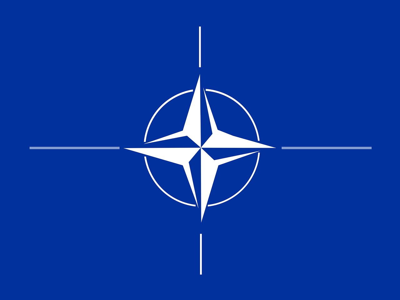 Mircea Geoana – functie la NATO